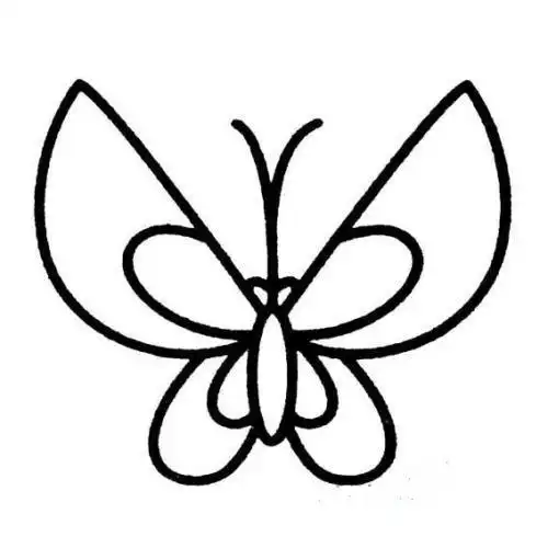 蝴蝶简笔画对称图形