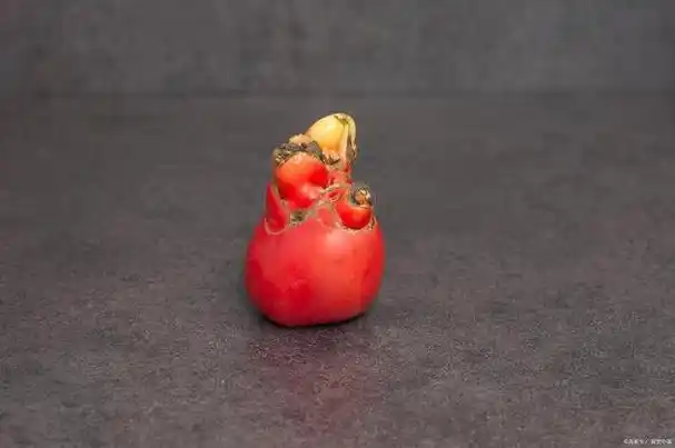 古代毒药之王"鹤顶红"到底是什么?