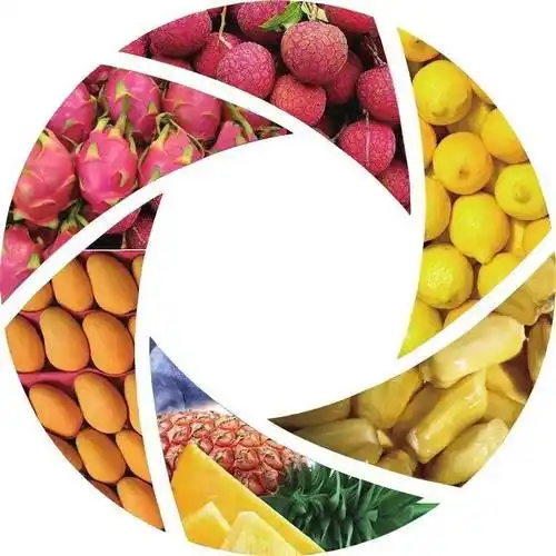 海南一年四季都有不同水果上市.