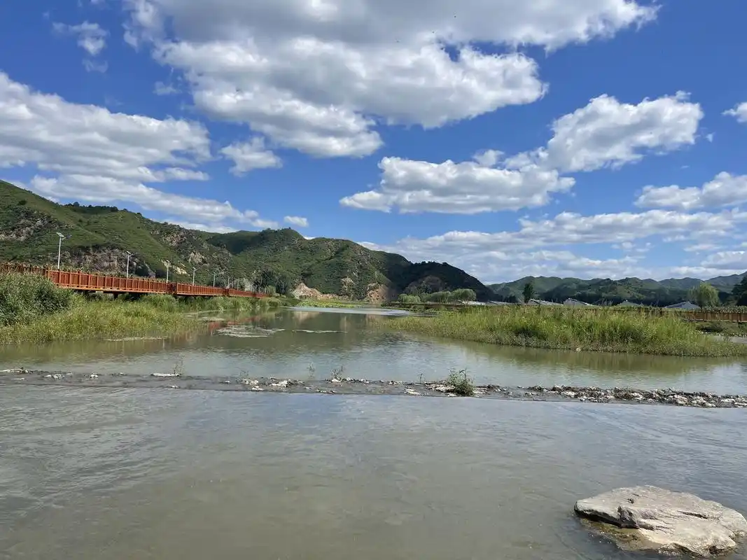 京冀携手守护"净水",密云水库水生态改善引来鸟类新朋友