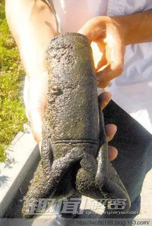 农民挖出人形怪物 疑为千年太岁专家将研究怪物细胞组成记者联系了