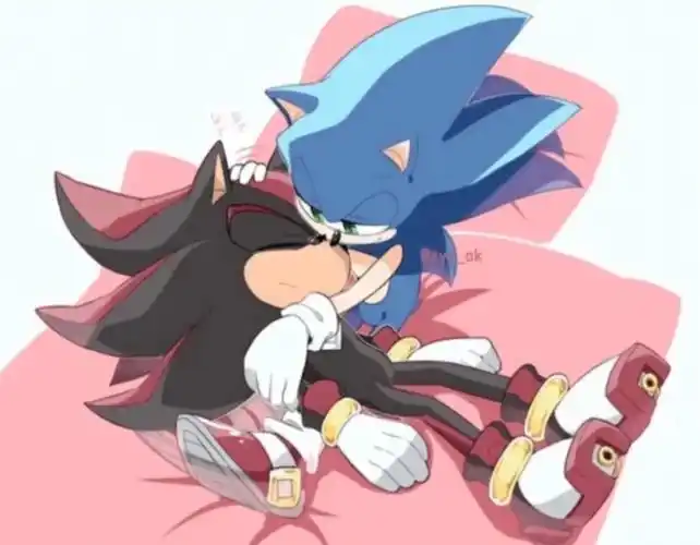 索尼克和夏特黑青