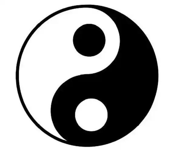 论阴阳太极图 阴阳太极图是古人最伟大的智慧之一.