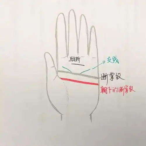 断掌纹图片,真假断掌纹清晰