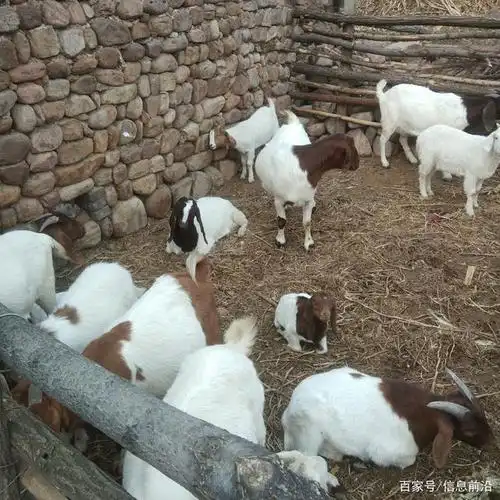 豫西农村角落风光