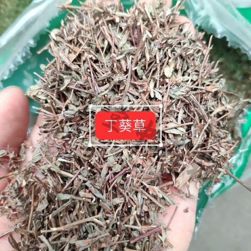中药材 丁葵草 人字草 二叶人字草 苍蝇翼 乌蝇翼 500克 500克
