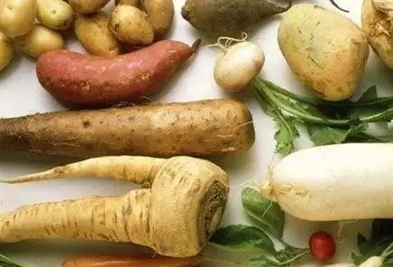什么蔬菜是吃根的(什么蔬菜是吃根部的)