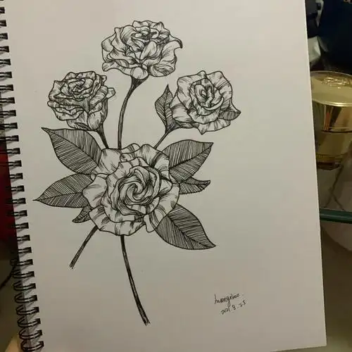 线描学习之第一画玫瑰
