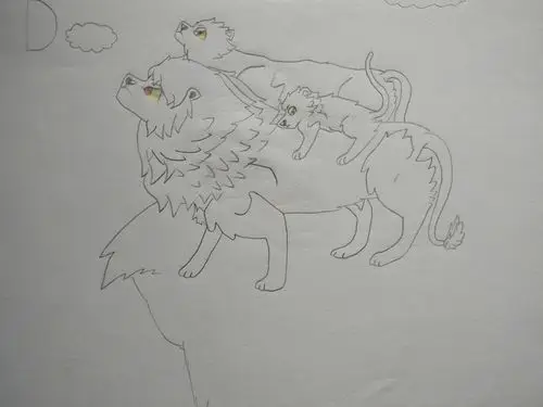 狮子一家仰望天空