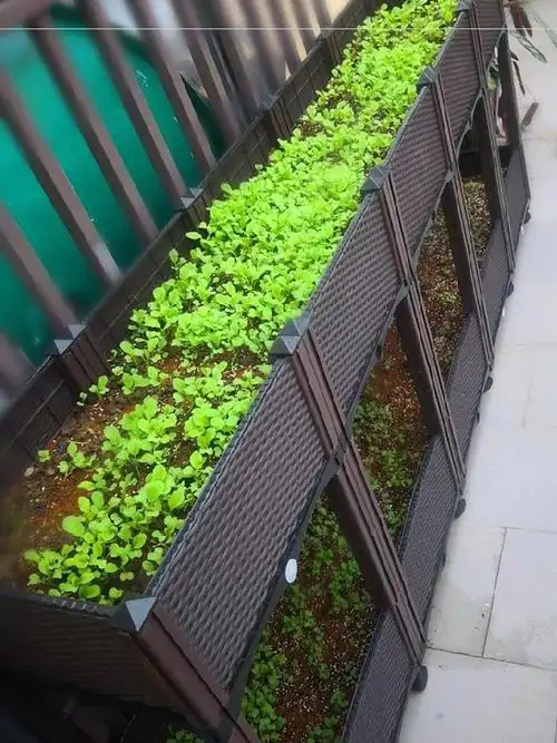 阳台种菜架多层种菜箱双层立体菜园大花盆花箱花槽家庭蔬菜种植箱