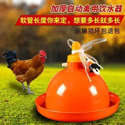 鸡用自动饮水器养殖设备家禽图片
