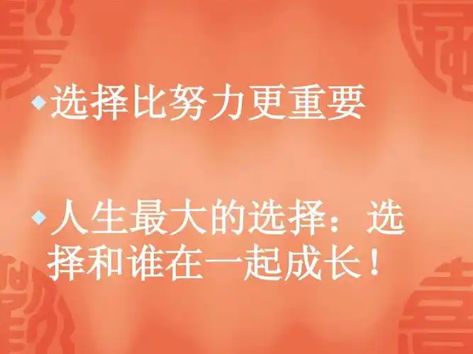 能匠世家的奢侈品加盟项目ppt  选择比努力更重要  人生最大的选择:选