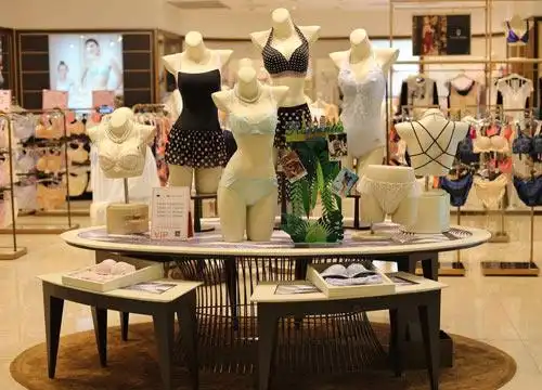 密汐皙迪内衣加盟流程是怎样的?这个品牌加盟赚钱吗?