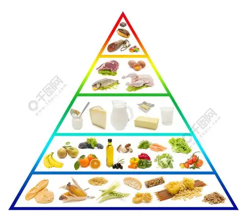食物金字塔
