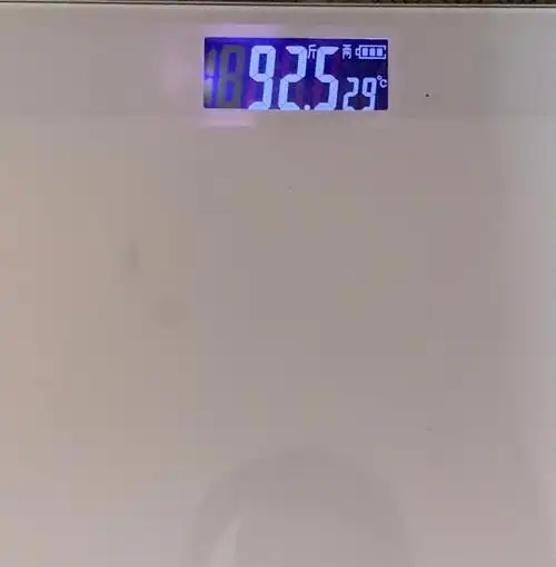 16892斤佛系减肥一天吃什么