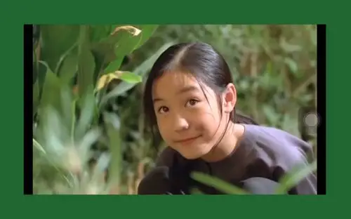 【电影】青木瓜之味|苏州夜曲|色彩美学|文艺_哔哩哔哩 (゜-゜)つロ