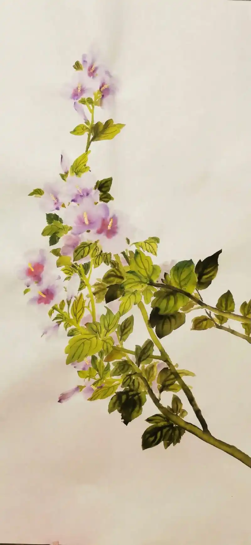 一起学画画 #画画 #一花一草一世界 #国画 木槿花 - 抖音