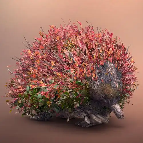 josh dykgraaf 摄影作品欣赏-古田路9号-品牌创意/版权保护平台