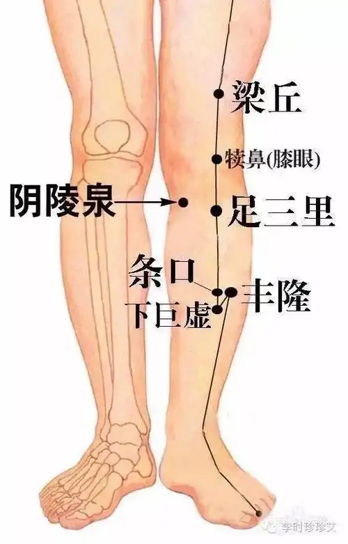 男性艾灸养生保健 艾灸养肾,治阳痿,遗精,早泄男人也要保养