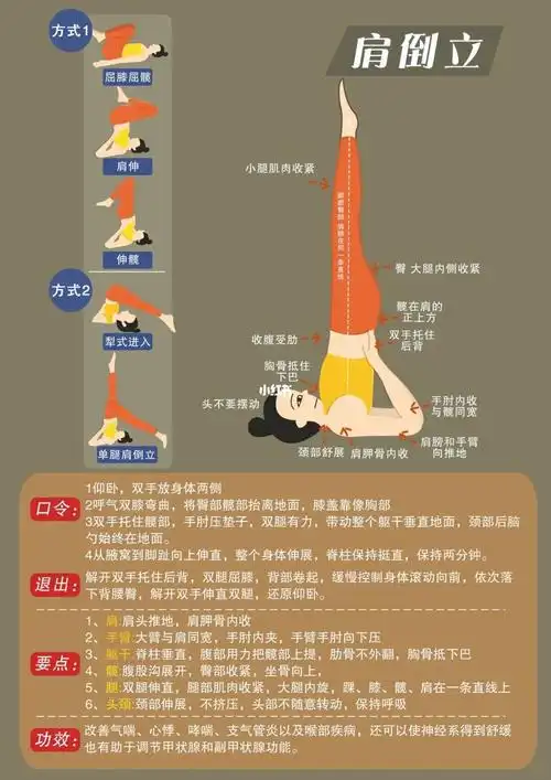 9369♀15肩倒立(2种进入方式分解)
