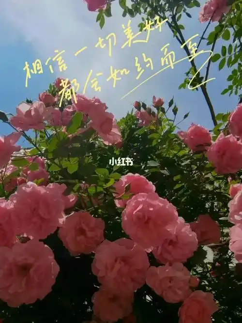 相信一切美好都会如约而至