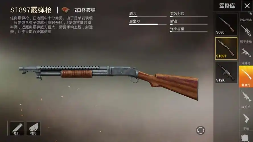 在《和平精英》等吃鸡游戏中,喷子其实就是霰弹枪这类枪支的统称.