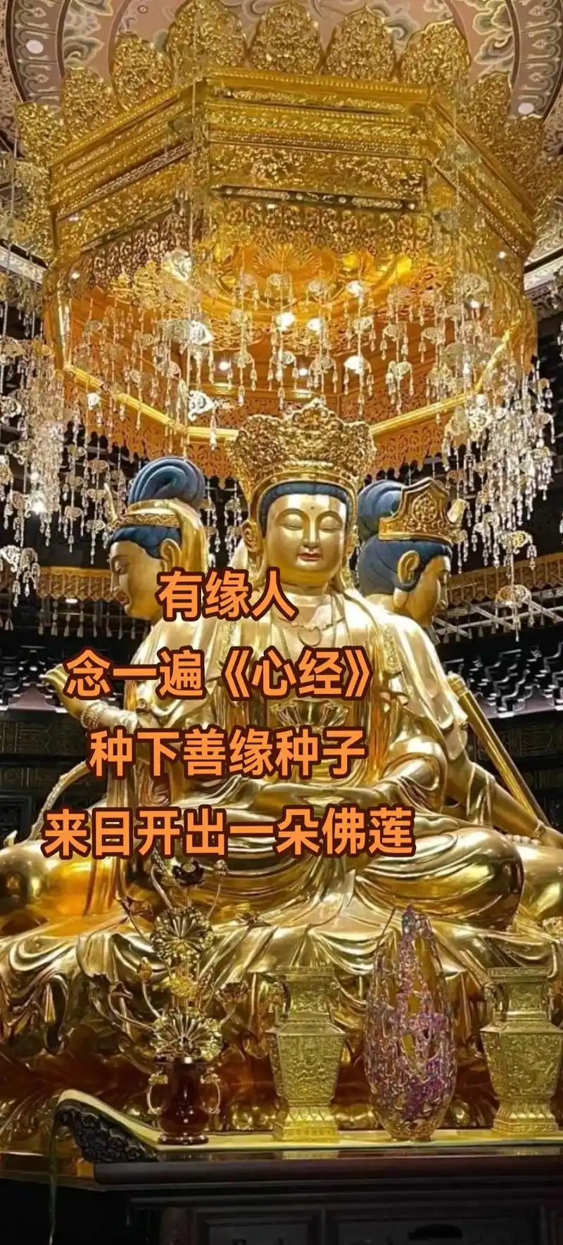 《般若波罗蜜多心经》您念过吗.真心念诵,功德无量.有缘人,跟 - 抖音