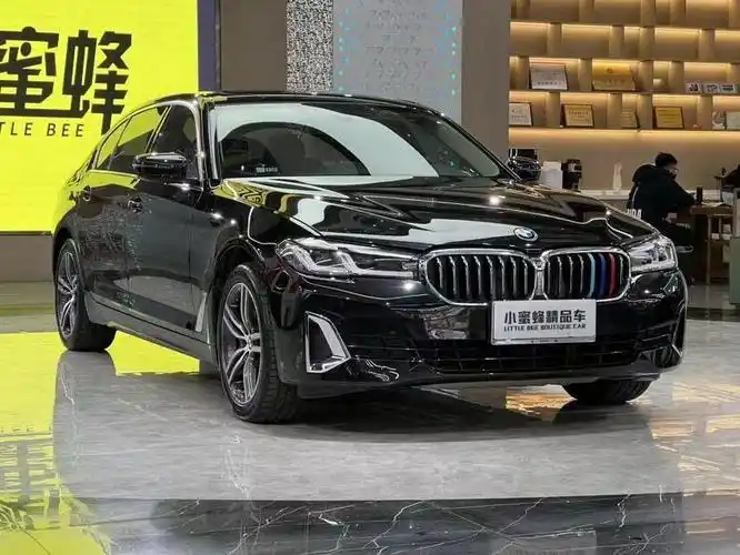 21款宝马530领先豪华_宝马5系社区_易车社区
