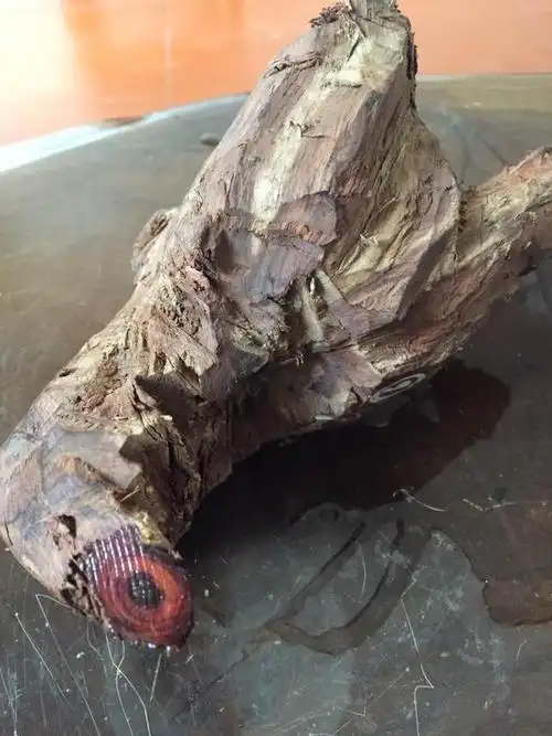 带你认识真正的海南黄花梨(降香黄檀)