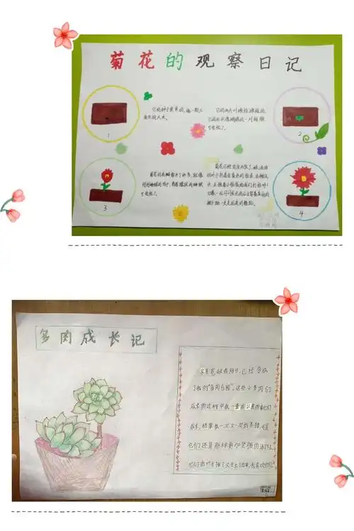 抗疫情 添绿意——南京市栖霞区龙潭中心小学江畔人家