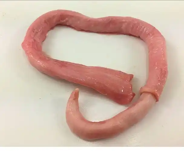 顺丰新鲜冷冻猪鞭新鲜猪鞭当天现取现发羊鞭2斤