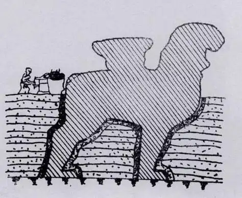 河北沧州铁狮子简笔画