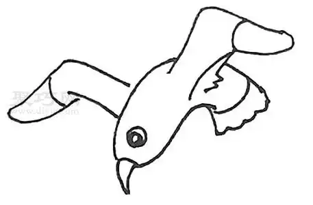 幼儿画海鸥教程一起来学海鸥简笔画