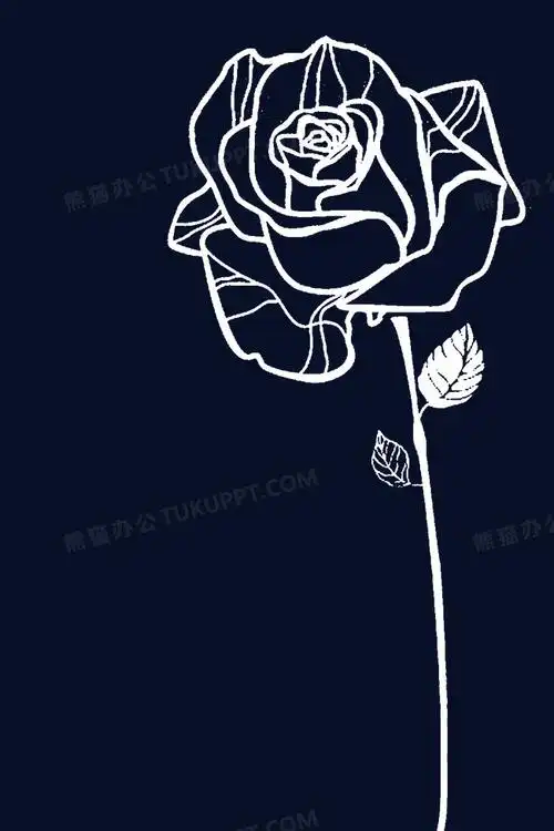 线条玫瑰
