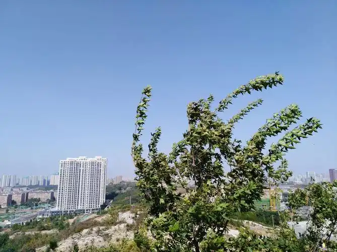 济南白马山公园