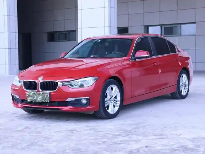 宝马 宝马3系  2017款 320li 豪华设计套装图片