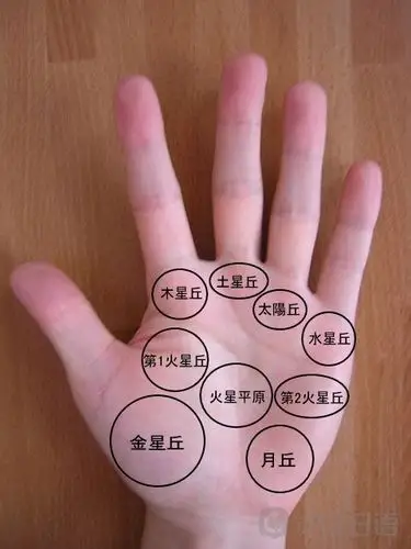 日式占卜:手相中隐藏的性格与运势
