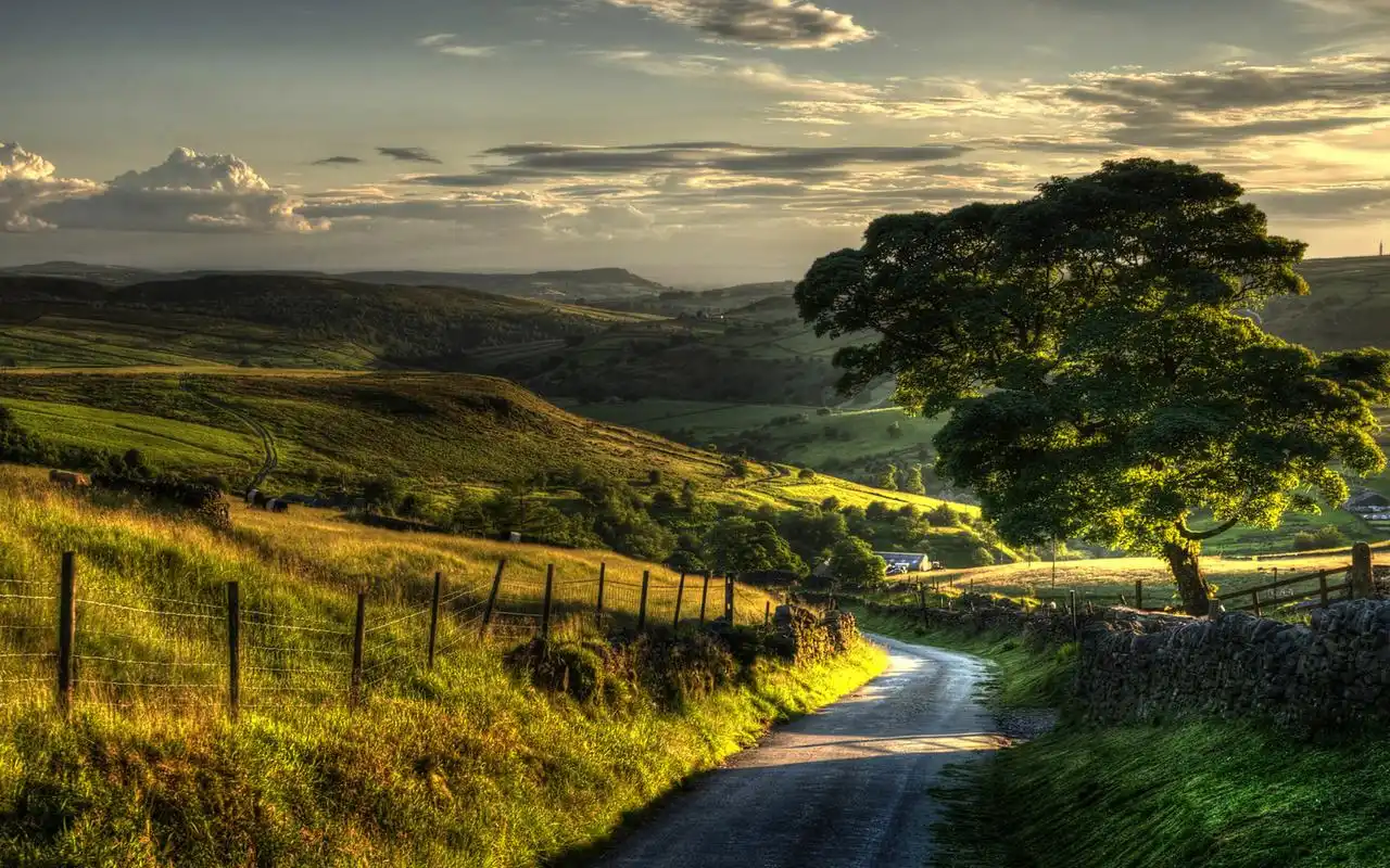 绿色草原风景高清电脑桌面壁纸