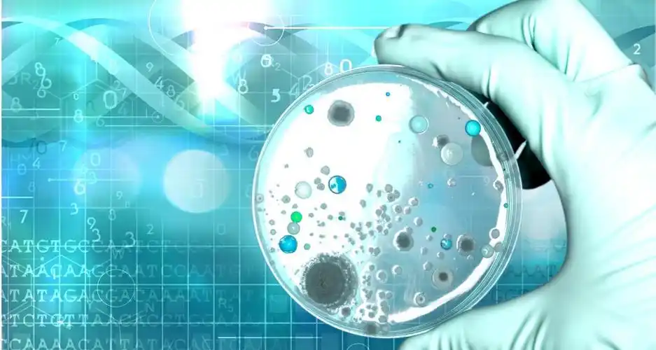 科学探索素材-科学探索图片-科学探索素材图片下载-觅知网