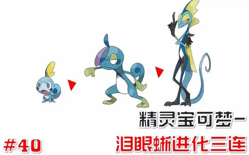 软陶squashclay第40期精灵宝可梦泪眼蜥进化三连
