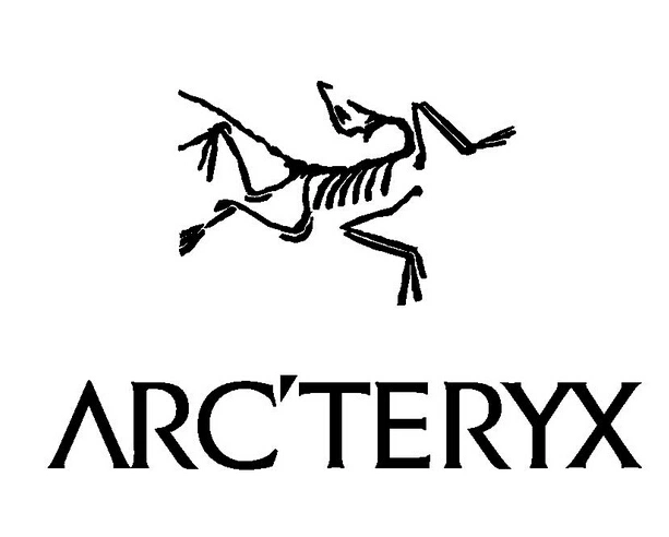 2019年羽绒服品牌榜top2arcteryx始祖鸟