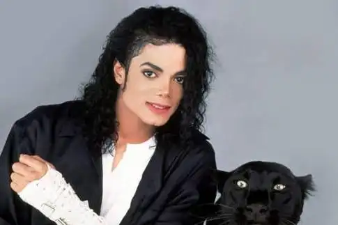 迈克尔杰克逊的音乐风格