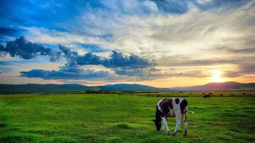 呼伦贝尔大草原高清原图下载,呼伦贝尔大草原,高清图片,壁纸,自然风景