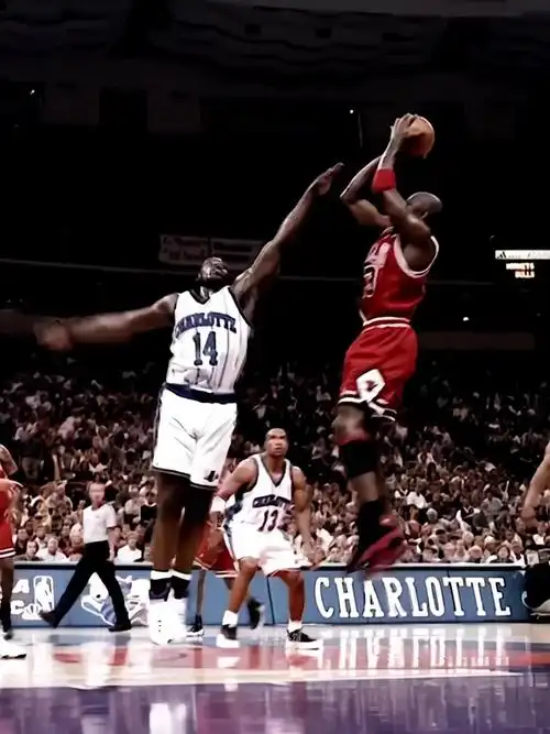 乔丹这后仰跳投堪称教科书