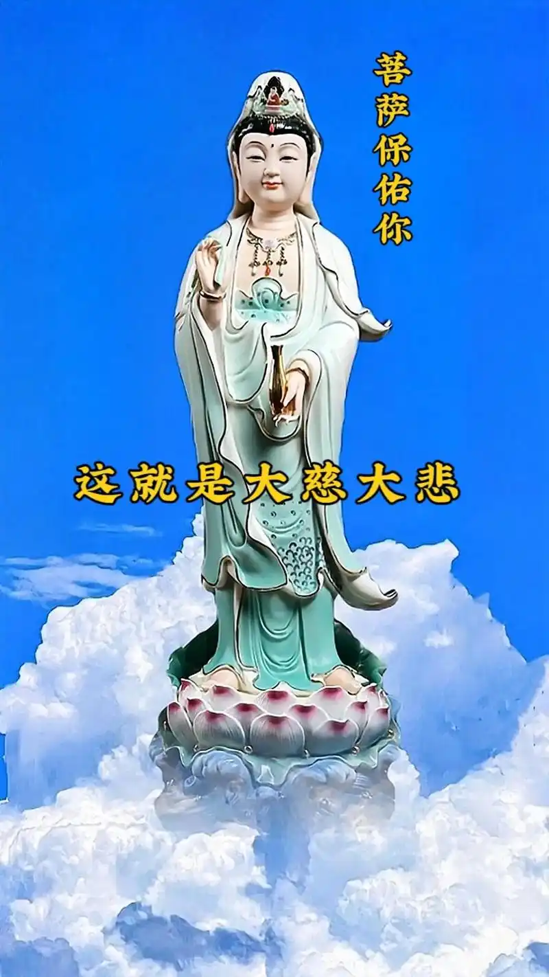 菩萨保佑你平安05,这就是大慈大悲救苦救难的观音菩萨,把他放 - 抖
