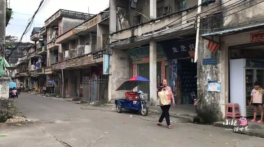 东莞长安小巷子视频在线观看 - 西瓜视频