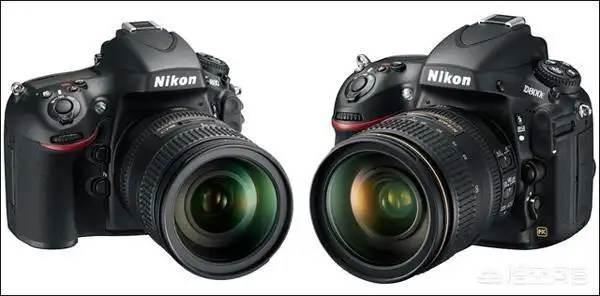 数码相机尼康d800有什么特点?