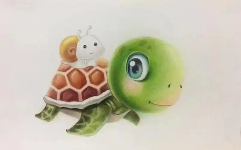 绘画教程:彩铅小乌龟(5)