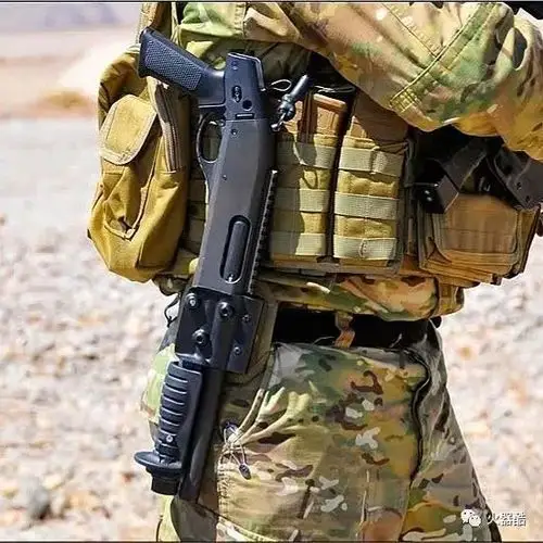 喷子的艺术各型霰弹枪海量图集