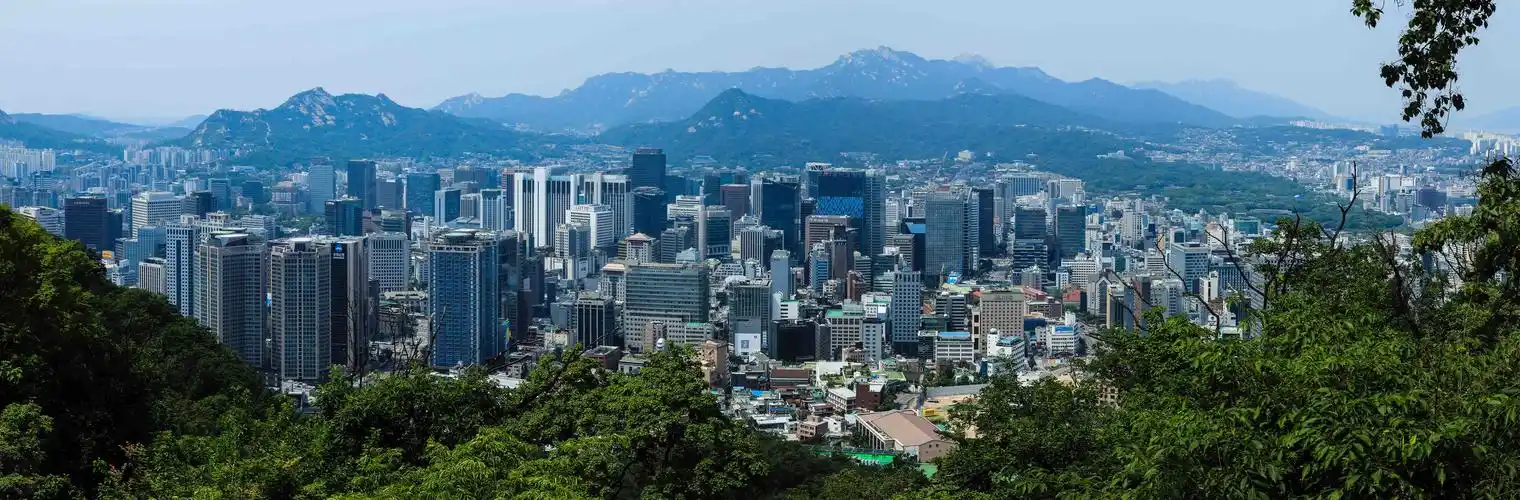 韩国游轮游. 3,登上南山观首尔全景